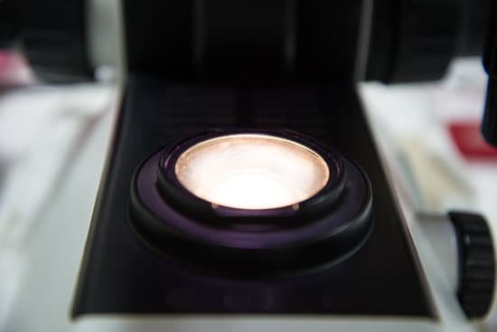 canva microscope MADAaYhFFG0