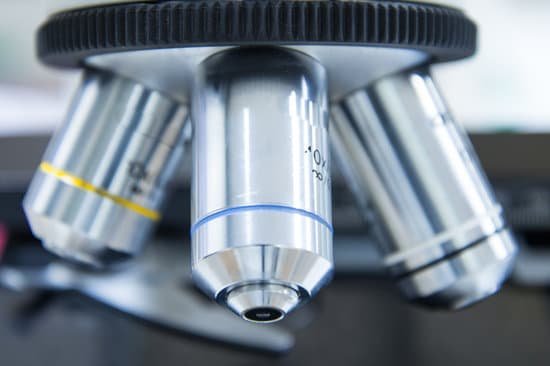 canva microscope MADAfLv5NQM