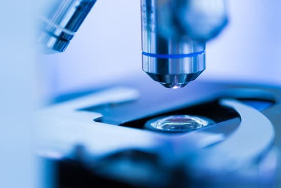 canva microscope MADAvZwIldA
