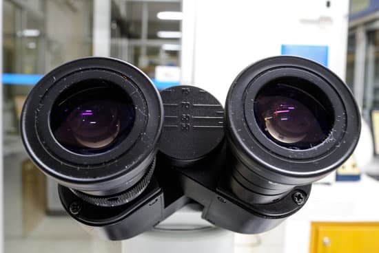 canva microscope MADB j9jH A