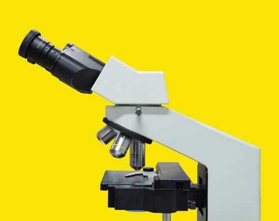 canva microscope MADBBckO7Y0