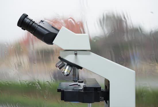 canva microscope