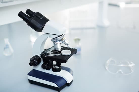 canva microscope MADBUVdG5N8