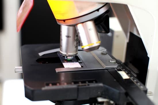 canva microscope MADBYdWEdcc