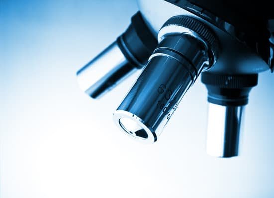 canva microscope MADBZqiYysY