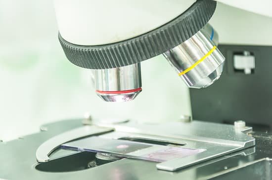 canva microscope MADBnrACQyA