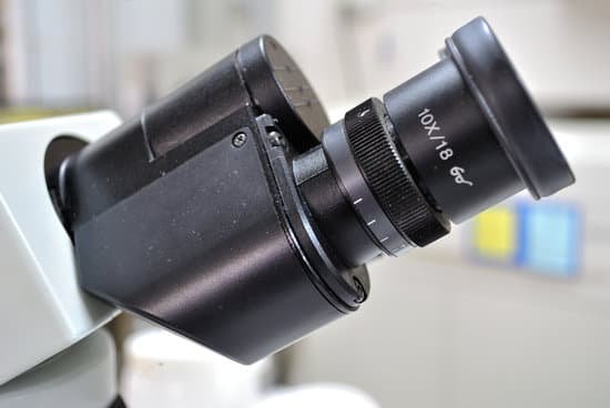 canva microscope MADCD8JPfWk