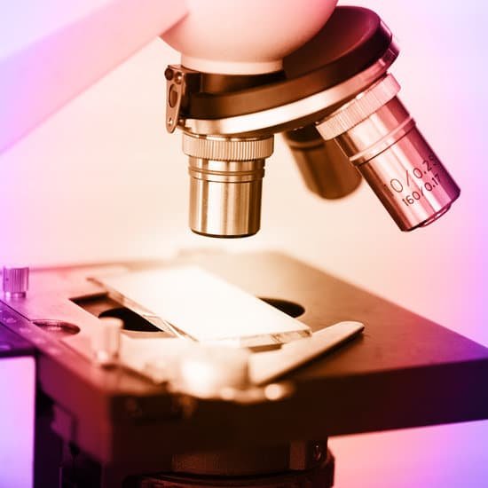 canva microscope MADCW13pTzg