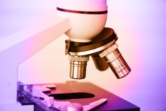 canva microscope MADCWz JEfo