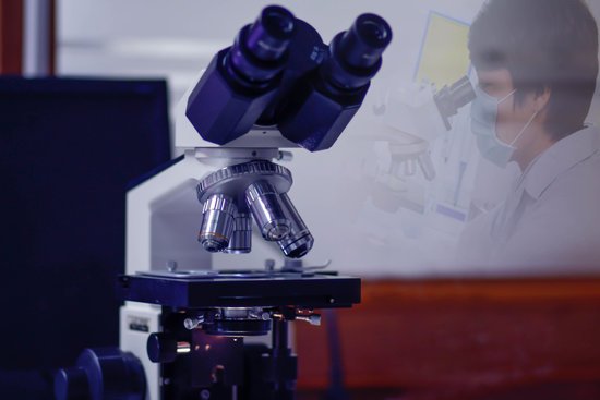 canva microscope
