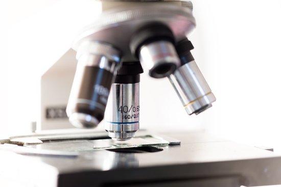 canva microscope MADFsyrA 40