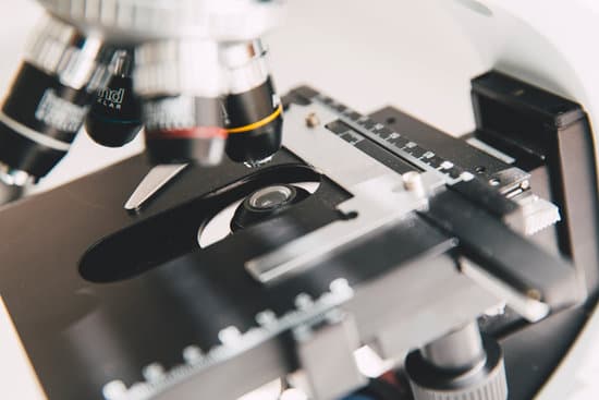 canva microscope MADR ofIld8