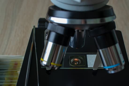 canva microscope MADWkkXlCqw