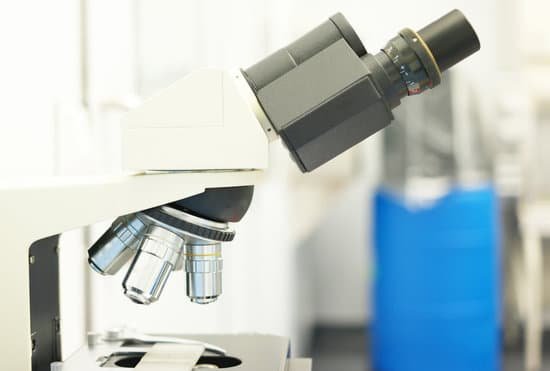 canva microscope MAED1 OW9v4