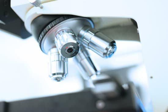 canva microscope MAED1zftiHE