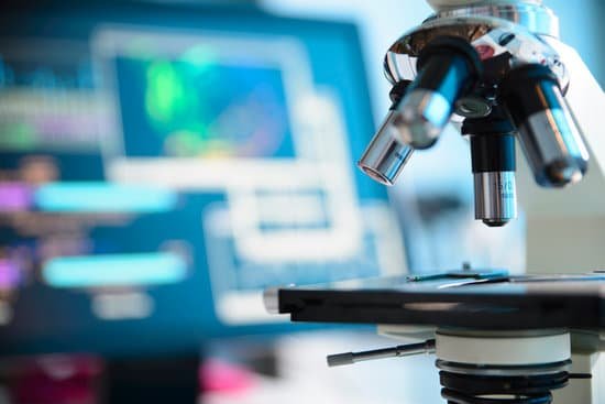 canva microscope MAED3OEBOvI
