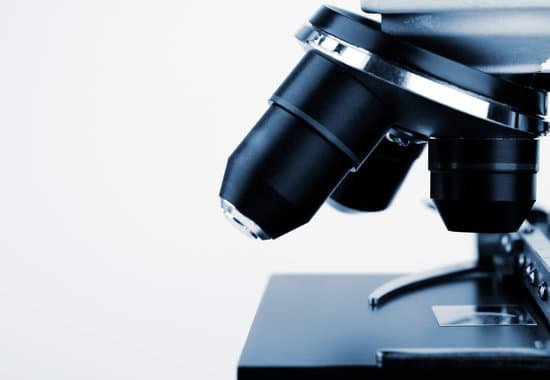 canva microscope MAED3X8WYYA