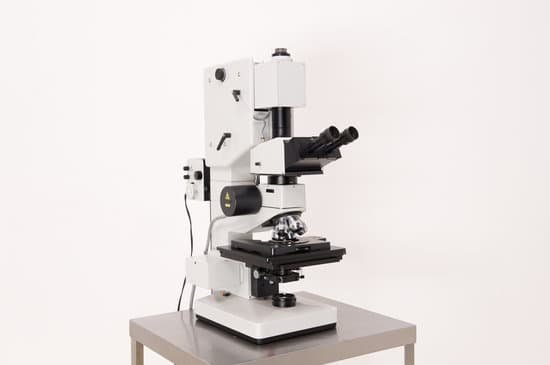 canva microscope MAEE9TKWlqw