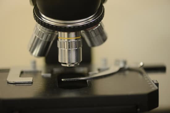 canva microscope MAEES1VTIpk