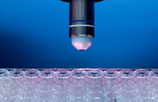 canva microscope MAEEjUIIo5A