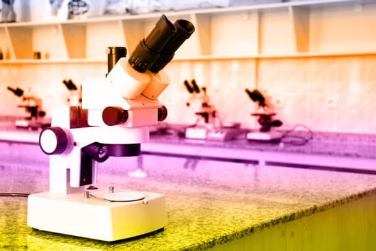 canva microscope MAEEov3jRfg