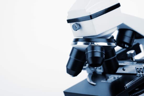 canva microscope MAEErGL6dMg