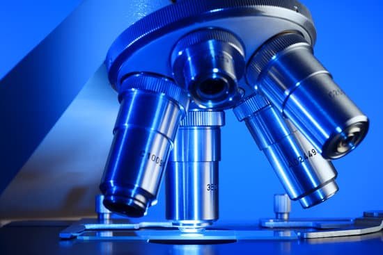 canva microscope MAEEwWNtlqg