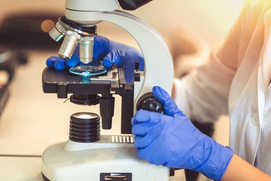 canva microscope MAEJCPZaNq8
