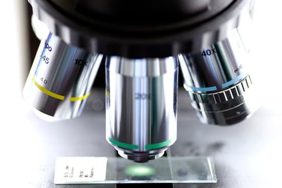 canva microscope MAEJHmT221o