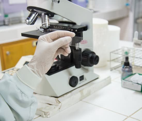canva microscope. MADBPhe vCw