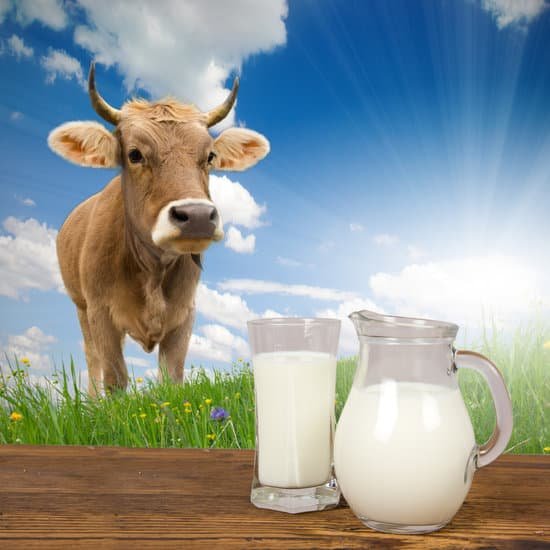 canva milk concept