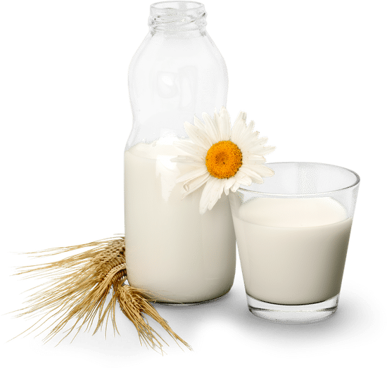 canva milk. MAB06p KT5I