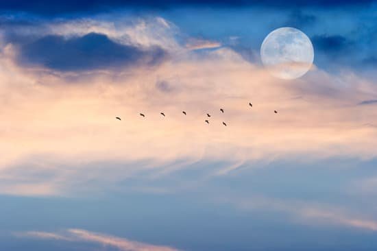 canva moon clouds skies birds