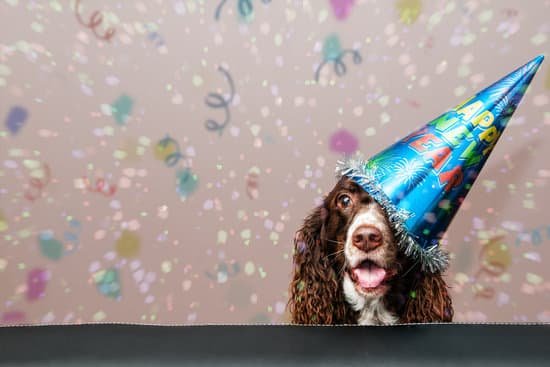 canva new year dog MADerf52czA