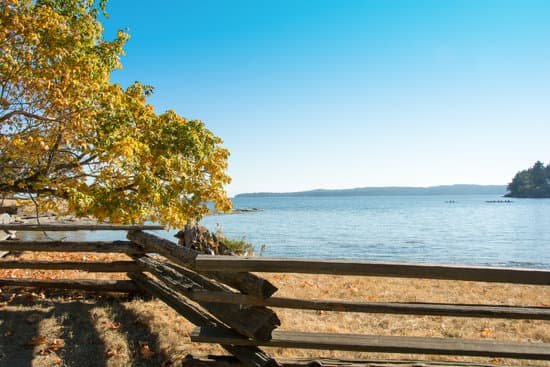 canva newcastle island vancouver island MAED4OvDdog