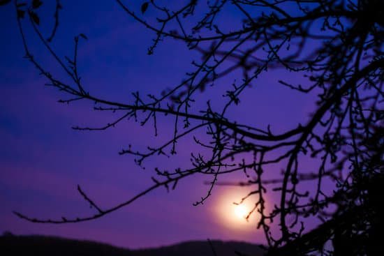 canva night MAC zkQVsM