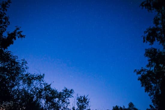 canva night dark blue sky in forest MAEE2JFRmwo