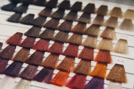 canva palette of various patterns of colored hair