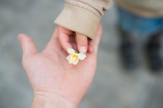 canva parent and child handing small flower MADesAE3in0