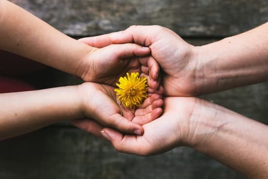 canva parent and child hands handing flowers MADesac0bJs