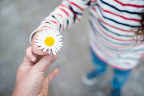 canva parent and child hands handing white flower MADerwvjlMY