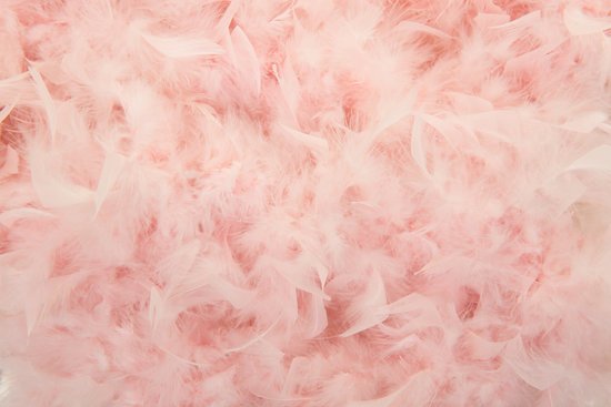 canva pastel pink feathers