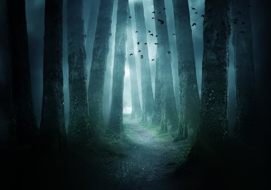 canva pathway through a dark forest MADerJihWSI