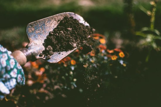 canva person digging on soil using garden shovel MADGv3ZEjvs