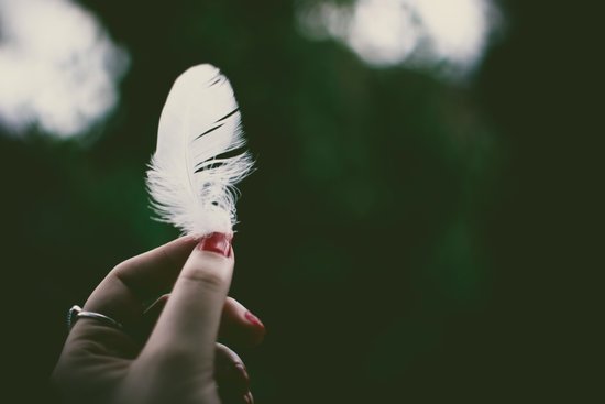 canva person holding white feather in selective focus photography MADGv5jV8rA