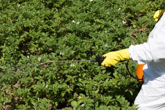 canva pesticide spraying MADBJGXMRKU
