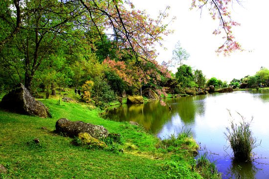 canva photo of lake side MADGyRazNXU