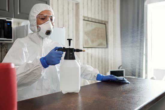 canva photo of person spraying disinfectant MAD8jqgtQdA