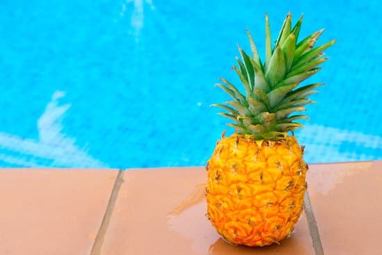 canva pineapple and pool MAB78zEqmJU