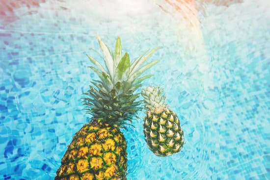 canva pineapples in the swimming pool MADQtp9Eqik